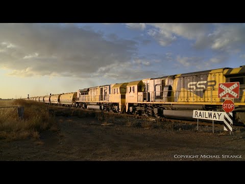 3KS2 SSR Grain Train With SSR101 Long End Leading (31/12/2019) - PoathTV Australian Railways