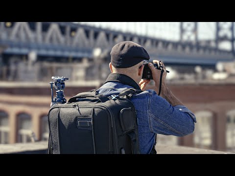 Miniatura del vídeo