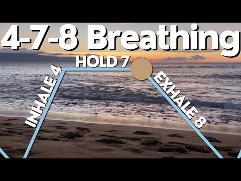 Guided Breathing Exercise
