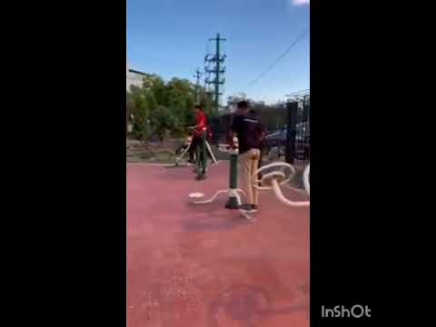 Outdoor Gym Equipment videos