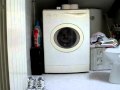 Gatto Nella Lavatrice Cat In The Washing Machine