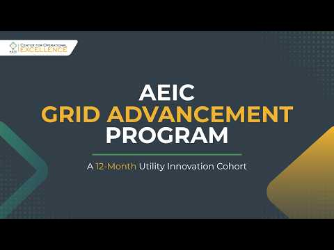 AEIC Grid Advancement Program