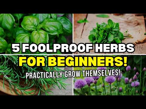 Great herbs to grow at home — and how to do it