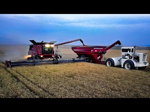 Epic Harvesting Montana Style - Part 1 - Wanken Harvest - Welker Farms Inc