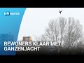 Bewoners klaar met ganzenjacht naast woonwijk: "Geeft een heel eng gevoel"