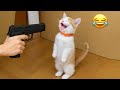 Essayer De Ne Pas Rire Les Animaux Les Plus Drôles Partie 14