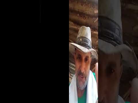 17 de maispco cotrim ojarineiro de senador Canedo go o de 2026