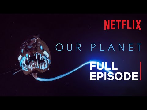 Our Planet | High Seas | FULL EPISODE | Netflix