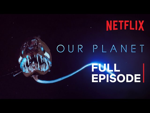 Our Planet | High Seas | FULL EPISODE | Netflix SDDEFAULT Thumbnail