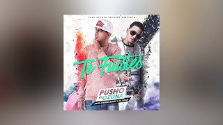 Pusho - Te Fuiste (Audio) ft. Ozuna