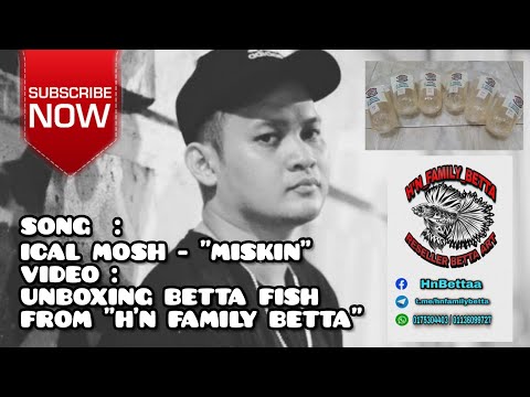 ICAL MOSH - MISKIN / UNBOXING IKAN LAGA BETTA DARI "H'N FAMILY BETTA" / MENANG BID IKAN PADU MURAH
