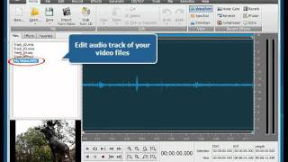 Video thumbnail for How to start working with AVS Audio Editor? by avs4you