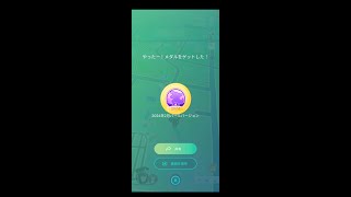 ポケモンＧＯ【ツアー】シンオウ☆二日目