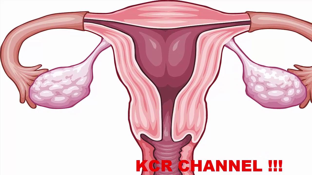 Monserrat Ramírez Penilla-12