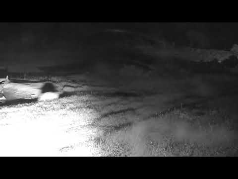 Djuma: Two Hyenas moving about in wee hours of the morning - 01:11 - 02/09/19