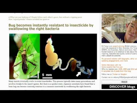 Science News Weekly 10: April 27, 2012: The Logical Choice