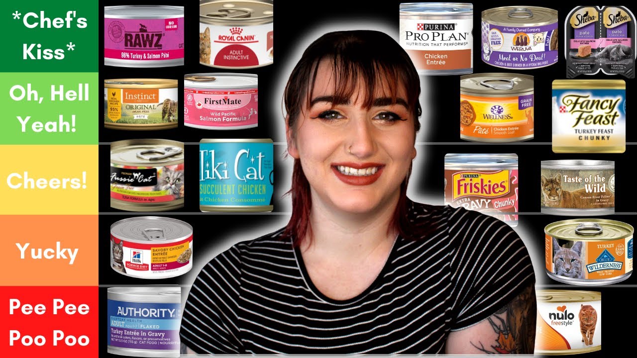 Pet Nutritionist Ranks Wet Cat Food