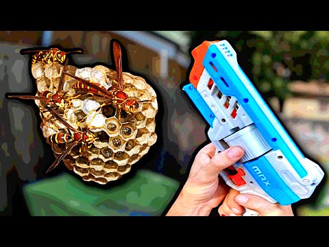NERF GUN vs WASP NEST