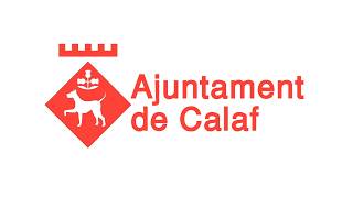 Sessió plenària ordinària dilluns 27 de juliol de 2026
