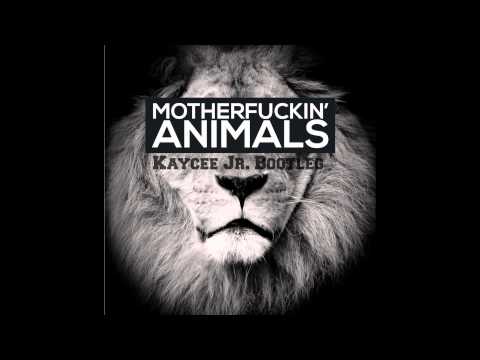 Martin Garrix Vs FunkDaHouse Wild Shiny Animals feat Wakaflocka&Borgore (Kaycee Jr bootleg)