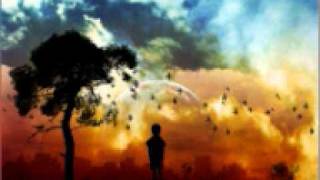 RyanDan - like the sun