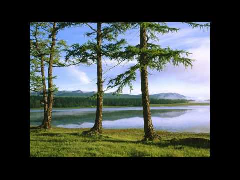 203. Despre predestinare