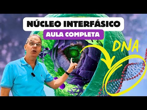 CELL NUCLEUS: Structure, Functions, and Chromatin Explained | ScienceTranslated with Professor Hi...