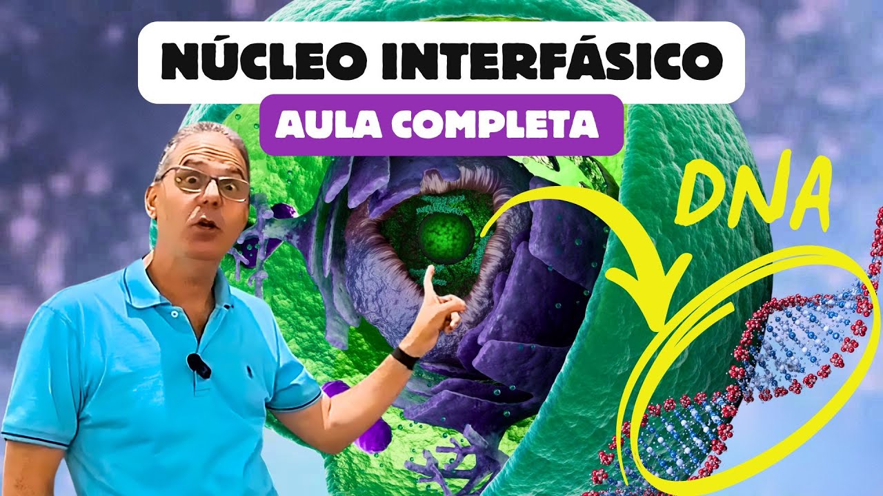 NÚCLEO CELULAR: Estrutura, Funções e Cromatina Explicada | CiênciaTraduzida com Professor Hilton
