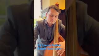 Ed Seeran Perfect (double bass cover) #edsheerancover #perfect #doublebass #coversong #violincover