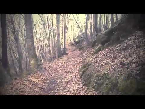 Visit Tirgu Ocna City