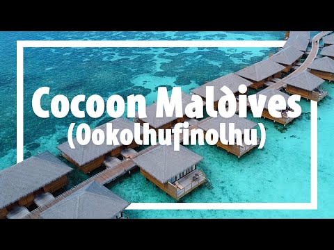 Videos del Cocoon Maldives 5★ en Atolón Lhaviyani, Maldivas
Ver Más
Ver
Precios
17
Cerrar
Consulta por Whatsapp 🇦🇷
Booking
Tripadvisor
Expedia
Agoda
Travelocity
Orbitz
Priceline
Trip
Skyscanner
Despegar
Kayak
Hoteles
Destinia
Trivago
Lastminute
Tui
Wotif