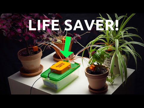 
     <a href='https://www.youtube.com/embed/9Fx9zQJe3H4?start=3' target='_blank'>
       <p>Project Video Link</p>
     </a><p>
      <b></b> Future Makers (open-source modular products & DIY communities) <br><br>
    
      <b>Two Problem Spaces:</b><br>
      Many people are interested in experimenting with electronics, but they find existing devices too expensive or hard to customize. <br>
      <br>
      Beginners often struggle with the lack of accessible, easy-to-follow tutorials to help them learn coding and electronics.
      <br><br>
    
      <b>HMW/HMI Statements:</b><br>
      How might we make modular open-source products more beginner-friendly so that people with little technical background can still create and innovate? <br>
      <br>
      How might we foster stronger collaborative platforms where makers can easily share, remix, and improve each other’s open-source projects?
    </p>
    