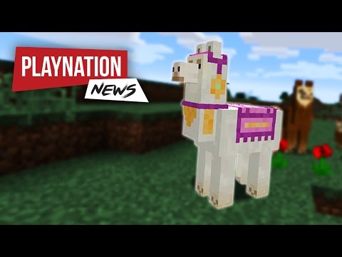 LAMAS IN MINECRAFT?