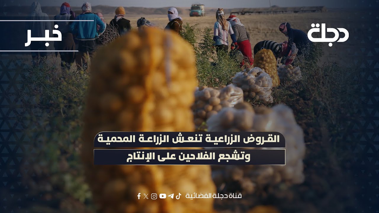 فيديو | صلاح الدين.. القروض الزراعية تنعش الزراعة المحمية وتشجع الفلاحين على الإنتاج