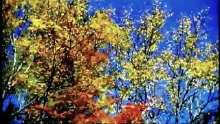 The Everly Brothers - Autumn Leaves