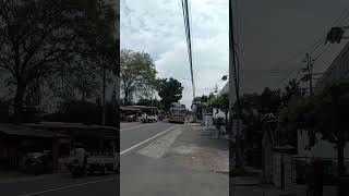 Download lagu Tebak bis apa hayo? #basuri #pecintabis #busmania #busindonesiakeren #pecintabusindonesia mp3