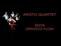 Enya - Orinoco Flow instrumental violin cover string quartet