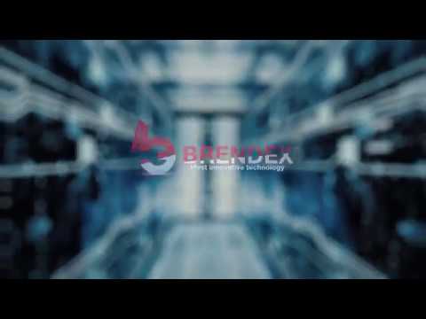 Видео презентация проекта BRENDEX