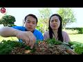 ก้อยกุ้งสูตรไร้หนวด สากพิเศษหนวดหา