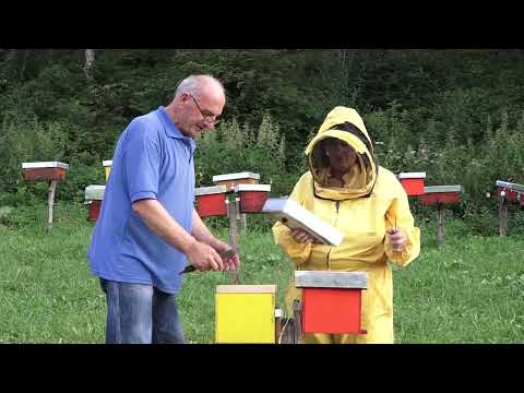 Agro karavan ep. 291 - Regija Birač - 13.08.2023.