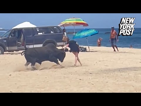 Distressing moment a wild bull attacks a tourist in front of onlookers on popular Mexico beach