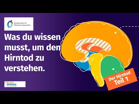 Der Hirntod  - Teil 1: Was du wissen musst, um den Hirntod zu verstehen.