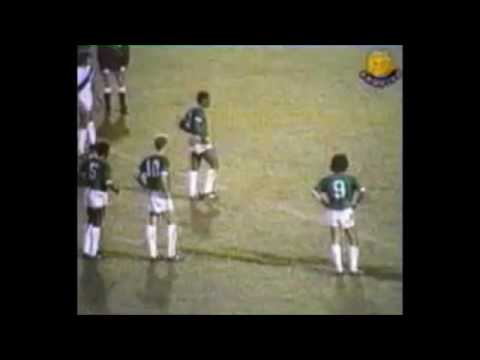 Palmeiras 1x0 Ponte Preta Campeonato Paulista 1976