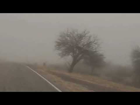 Pituil entre la neblina | La Rioja, Argentina