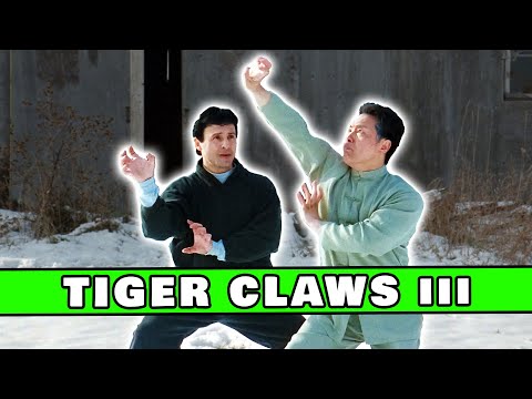 This movie completely broke my wife. The worst ending ever | So Bad It's Good #124 - Tiger Claws III