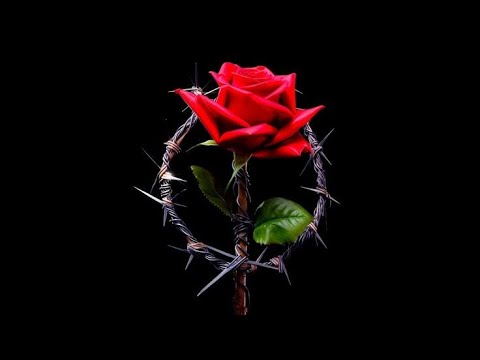 DJ Boy "Pior Versão" - MC Ryan SP, MC Joãozinho VT, Oruam e MC Kako