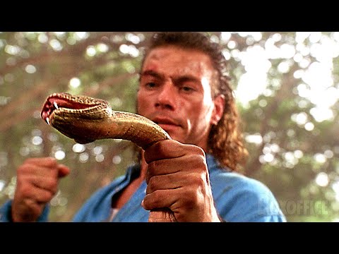 Jean Claude Van Damme prende a pugni un serpente | Senza tregua | Clip in Italiano