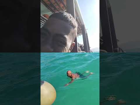 peixe boi