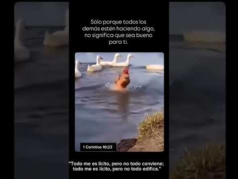 #fe #seguir #influencia #decisiones #integridad