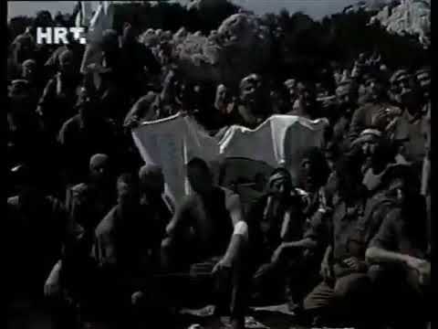 Specijalna policija - Evo zore evo dana (kolovoz 1995.)